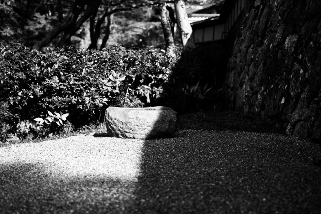 border line・・庭