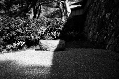 border line・・庭