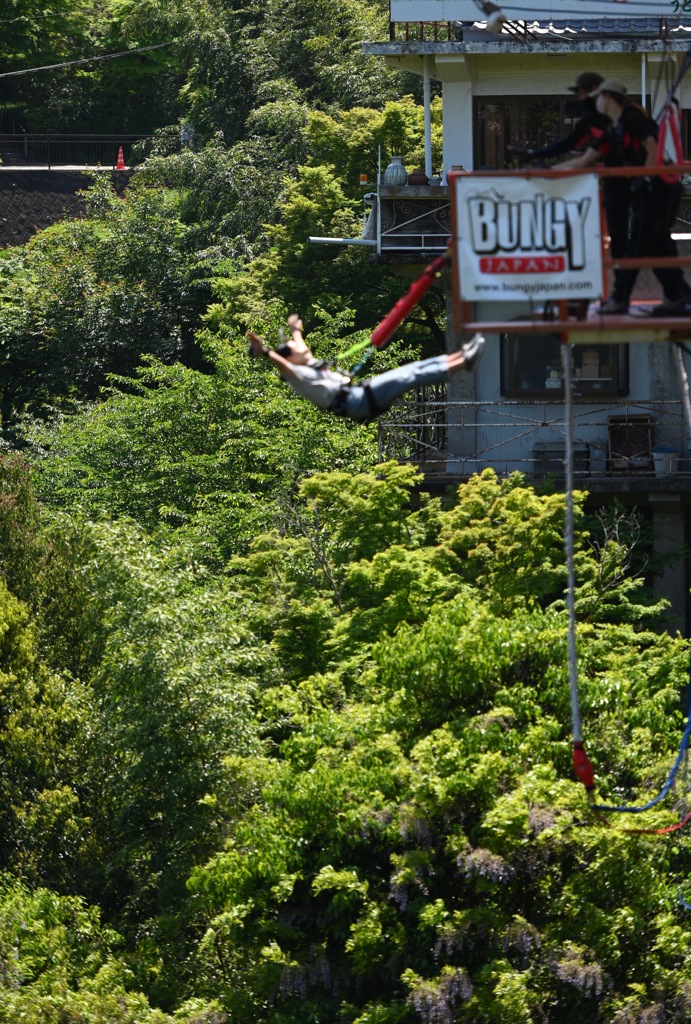 BUNGY~~