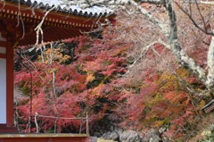 朱の彩り