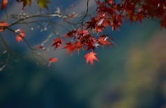 秋水の如く