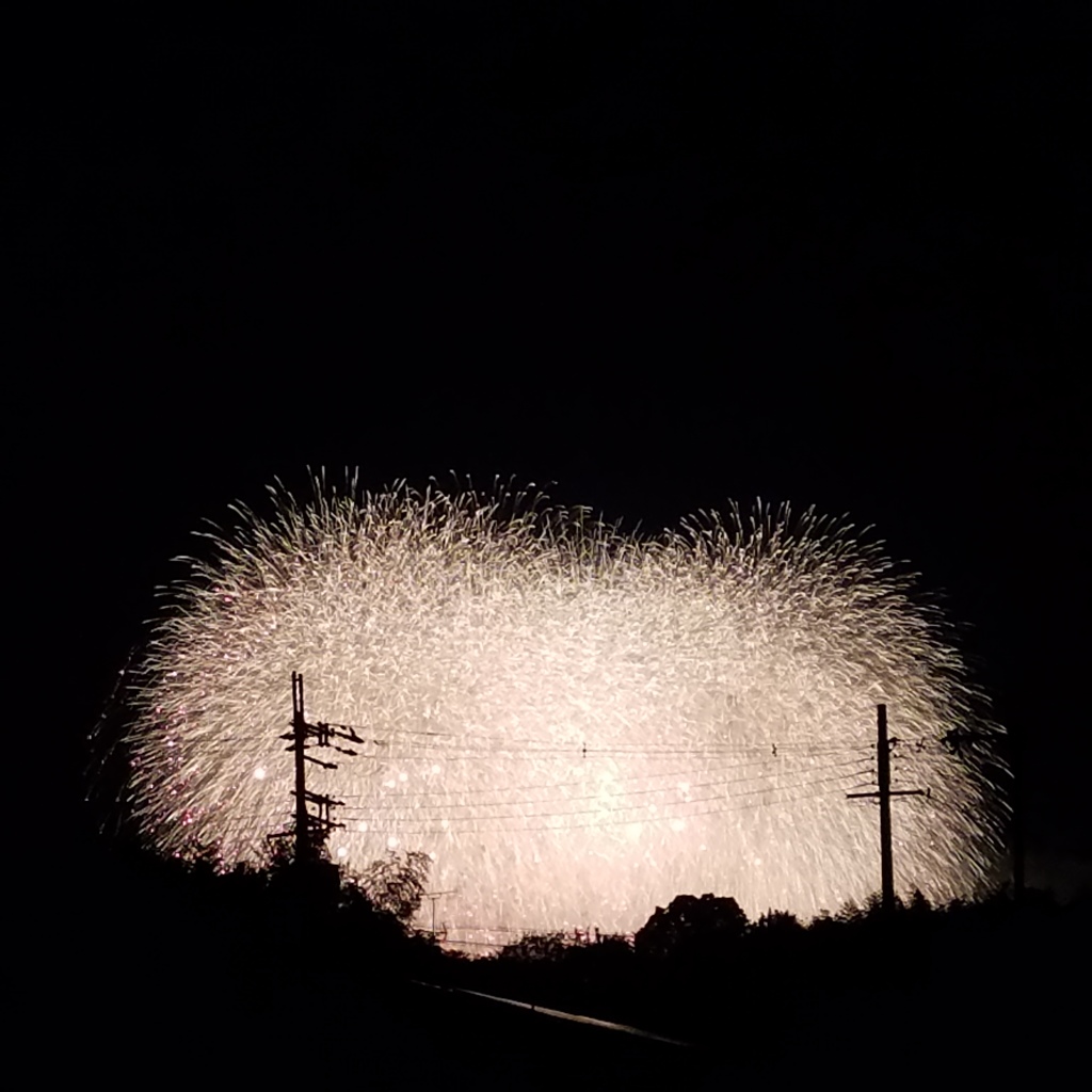 大きな夏の花1
