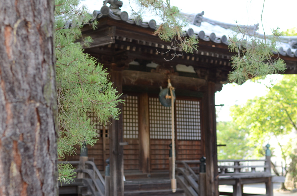 WABI 9.5