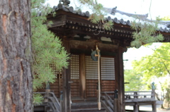 WABI 9.5