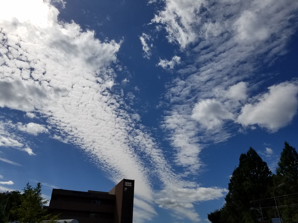 中秋の名月...昼雲