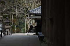 悠然
