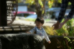 優しい手