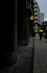 黄色い花咲く街　神戸