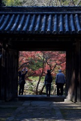 錦の里（正暦寺）