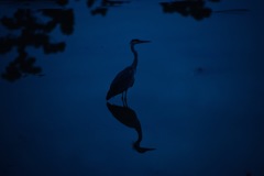 静寂の時