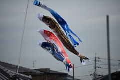 風・・遊