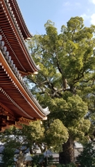 その奥の景色