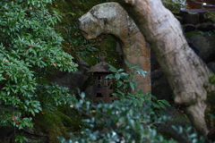 SABI・・の間