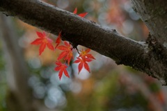 こんにちは〜