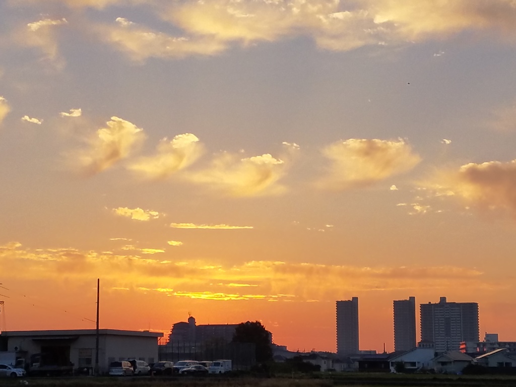天使舞う夕暮れ...の様な