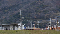 それぞれの日曜日
