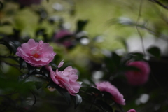 虚ろ