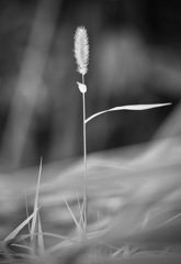 電・磁・力（フレミングの法則）