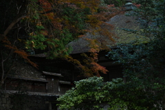 佗しき彩り