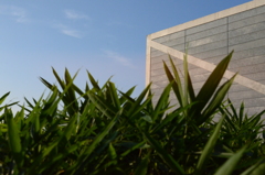 緑に映える建築美