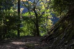 秋思う山の道・2