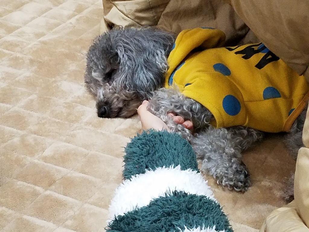仲良し