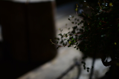 WABI 　５