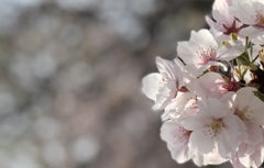 春の陽気