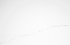 border line・・空