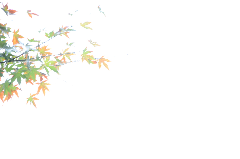 余白