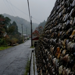雨の日　映える石垣