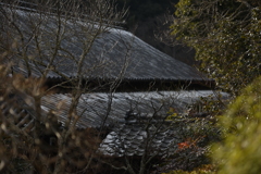 大屋根　うっすら雪化粧