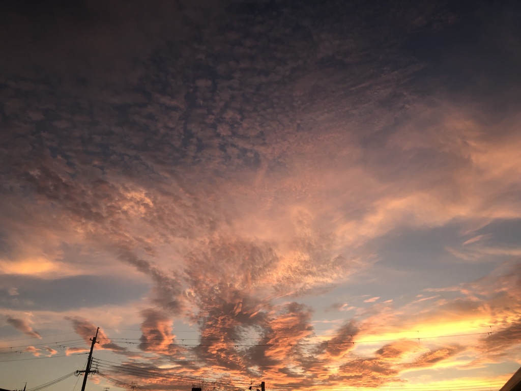 夕焼けの空