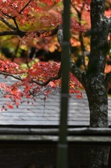 京の