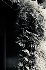 光と陰