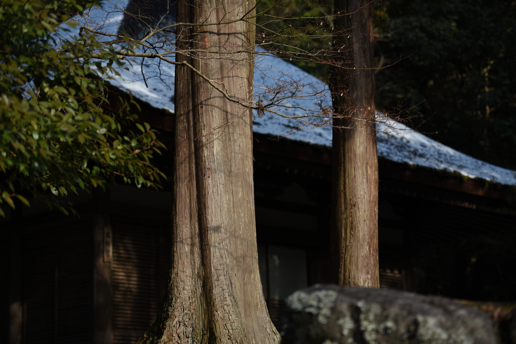 WABI・３０２１２　１