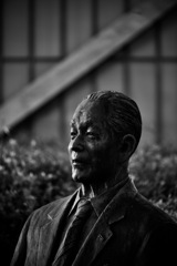 陰影