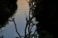 愁い