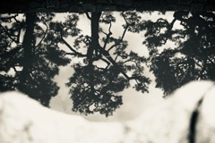 写り絵