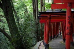 参道