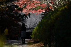 ふと　立ち止まり・・