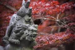 邪気を喰らう