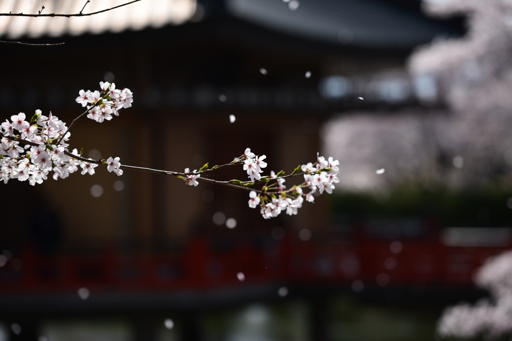 時の流れ