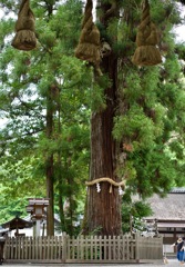 大神神社