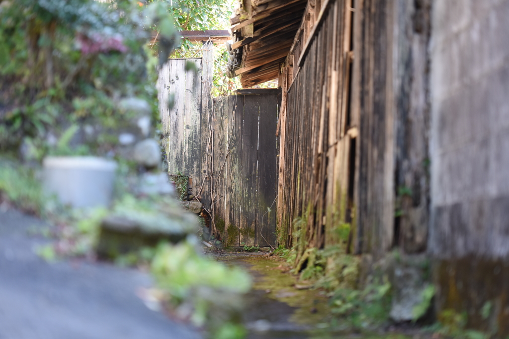 裏路地