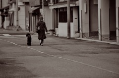散歩道