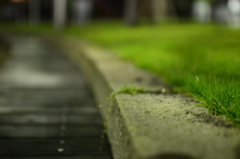 雨あがりのベンチ