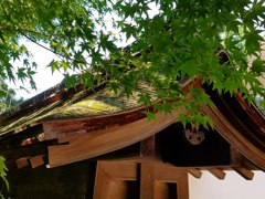 和の奥行き