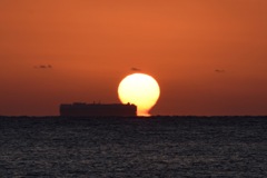 帰れぬ　故郷の海