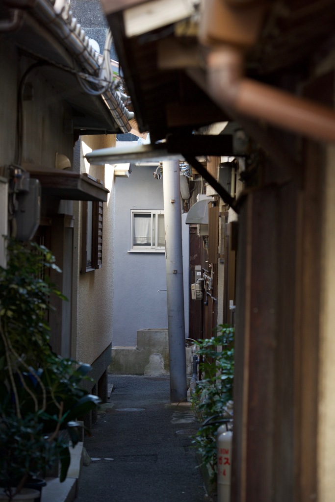 裏露地